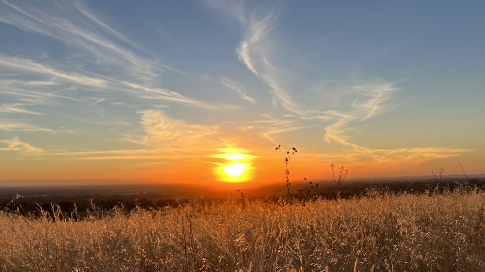 The sun sets over the Treasure Valley, seen across tall golden grass in the Boise foothills.